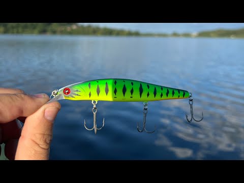 Видео: Коли будуть щучі роздачі в Івачеві ? : тест воблера Daiwa Steez Minnow 110SP в сильний вітер.