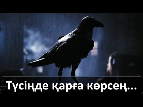 Видео: Түсіңде қарға көрсең... Қазақи ырымдар