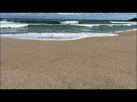 Видео: ЧЕТВЕРГОВЫЙ КОФЕ ИЗ БОЛГАРИИ_09.10.25 в 8:45