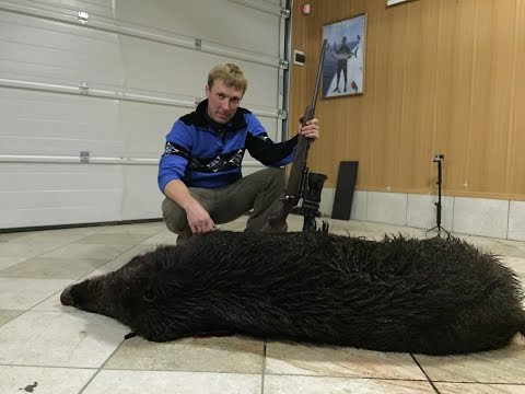 Видео: стейк из кабана в овощах