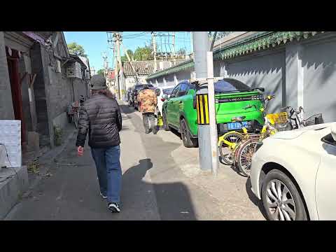 Видео: 11 ноября 2025 г.