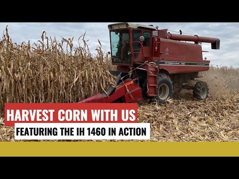 Видео: Комбинируйте кукурузу с IH 1460