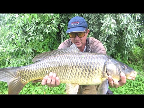 Видео: ТАКИХ Я ДАВНО НЕ ЛОВИЛ. Монстр из глубины на Макуху