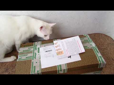 Видео: Саженцы роз из интернет-магазинов "Беккер" и "БелАгроМаркет".