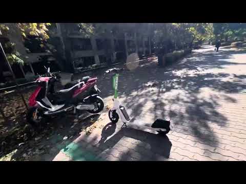 Видео: ОСЕННЯЯ ПРОГУЛКА 🤫