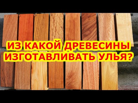 Видео: ИЗ КАКОЙ ДРЕВЕСИНЫ ИЗГОТАВЛИВАТЬ УЛЬЯ