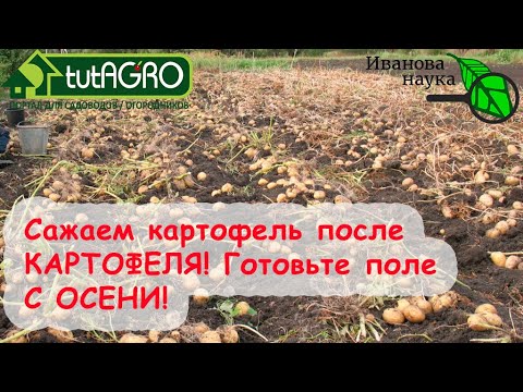 Видео: КАК САЖАТЬ КАРТОФЕЛЬ ПОСЛЕ КАРТОФЕЛЯ? Только при выполнении этих условий! Начните готовиться осенью!