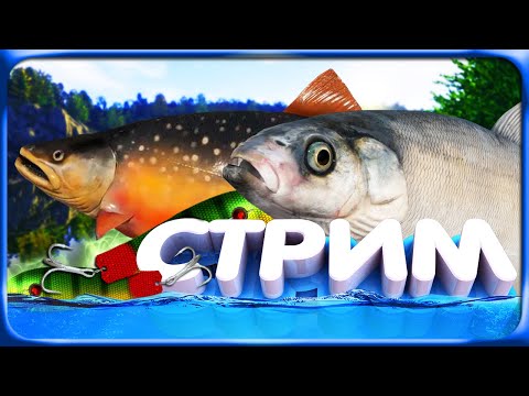 Видео: РР4 СТРИМ • Охота на новых трофеев с Тунгусски и Ахтубы! + Палия на Вэки!