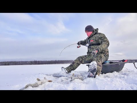 Видео: ВАННА ОМУЛЯ, ВЕДРО ИКРЫ! СУРОВЫЙ ПЕРВЫЙ ЛЁД 2023-24.