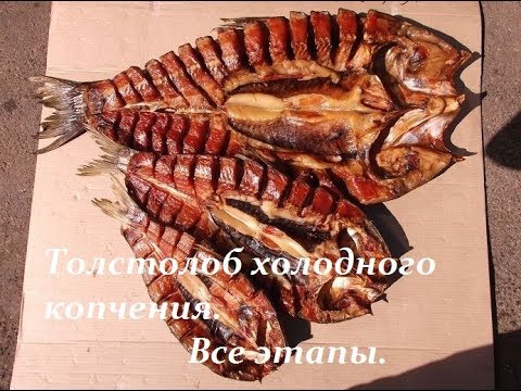 Видео: 🔴 РЫБА ХОЛОДНОГО КОПЧЕНИЯ  : Рецепт от засолки до дегустации