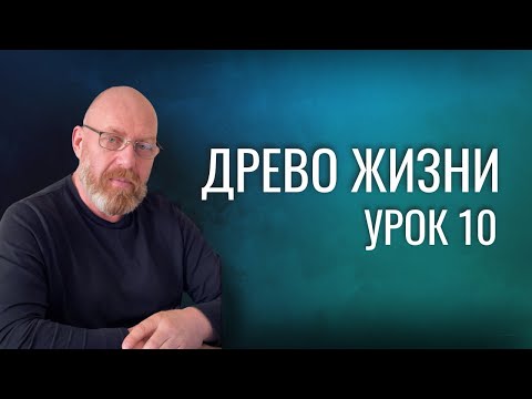 Видео: Древо Жизни Урок 10