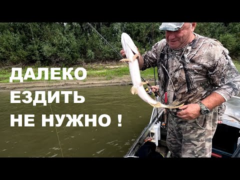 Видео: РЫБАЛКА НА СЕВЕРЕ ОМСКОЙ ОБЛАСТИ! ЧЕМ БОГАТ ТВОЙ РОДНОЙ КРАЙ ?