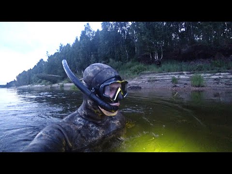 Видео: Подводная охота на Вычегде. Открываем сезон в новом снаряжении.  AQUASTREICH CAMO BROWN HAMMERFISH.