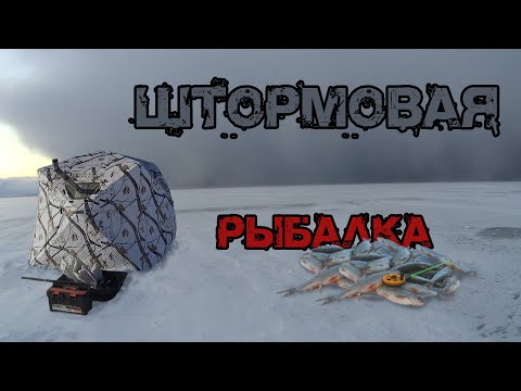 Видео: Штормовая рыбалка 2021-2022. Забайкальский край, озеро Шакша