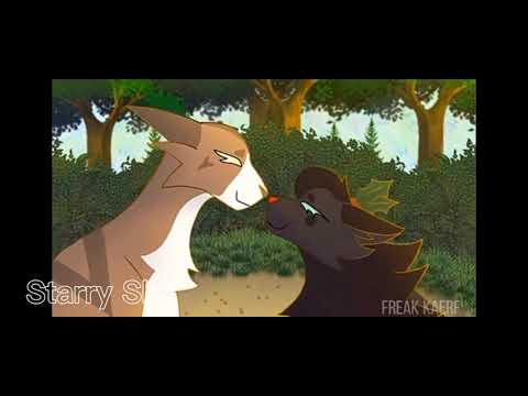 Видео: Коты-воители//клип "Верни меня домой"//by Starry Sky//