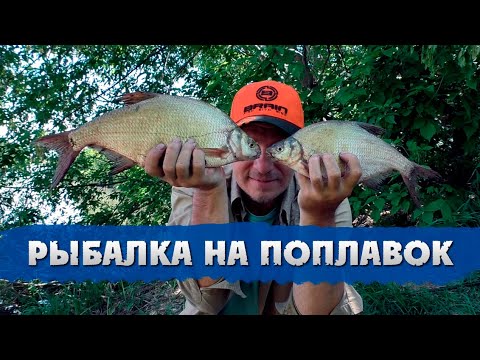 Видео: ВСЕ ТАКИ СОБЛАЗНИЛ!!! Ловля леща на реке. Рыбалка на поплавок.