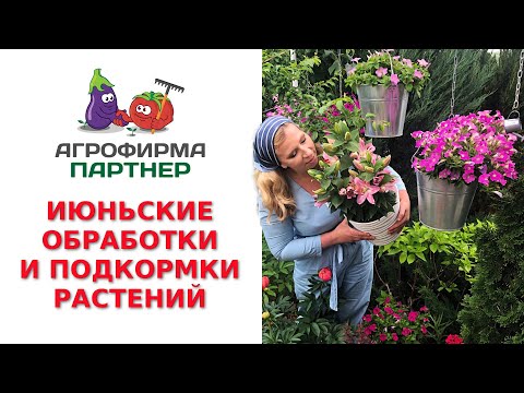Видео: ИЮНЬСКИЕ ОБРАБОТКИ И ПОДКОРМКИ РАСТЕНИЙ