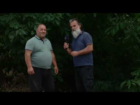 Видео: МОЕ СЕЛО - Село Магарево со Перо Цаца (дел 1)