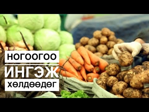 Видео: Ногоо хадгалах арга |Taivan’s Family Vlog #39- Ger Project |