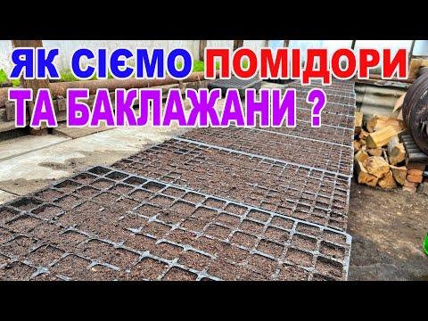 Видео: Це НАЙКРАЩИЙ  спосіб посіву помідорів та баклажанів  !