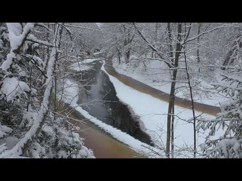 Видео: Зимний поход к Радоновому озеру и Ифенке. Мгновенья снежной сказки в Толмачёво.