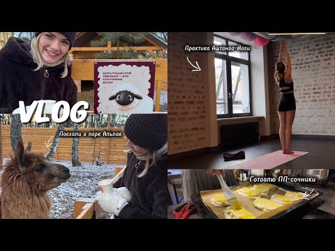 Видео: VLOG//Парк Альпак//Распаковка покупок с OZON//Зима снова пришла неожиданно //Готовлю ПП-Сочники//