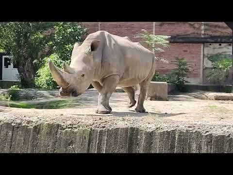 Видео: Разходка в Софийския зоопарк/A walk in the Sofia Zoo