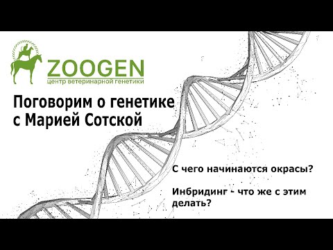 Видео: Поговорим о генетике с Марией Сотской