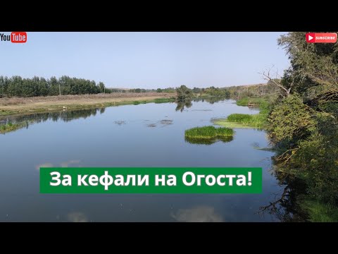 Видео: За кефали на река Огоста! 5-ти кръг на СЛ "Brother" 2023