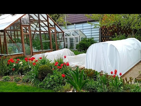 Видео: Собираем и устанавливаем парник "АгроЩит" Собираюсь высадить рассаду после аномального похолодания