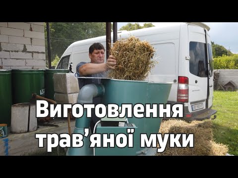 Видео: Заготовляю трав'яну муку для кроликів / Подрібнювач УПР-4-220 / Оптиміст #2