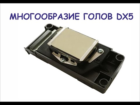Видео: Многообразие голов EPSON DX5