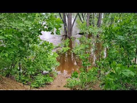 Видео: Зеленый остров Омск. Иртыш вышел из берегов. 21 мая 2025 года.