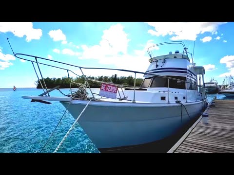 Видео: Обзор Trawler 48 футов. Смотрим моторную лодку для нового проекта! Trawler - что это такое?