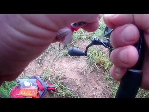 Видео: Я открыл голавлиный сезон на реке Мста 05 06 2020