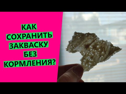 Видео: Сохранить хлебную закваску до полугода без кормления