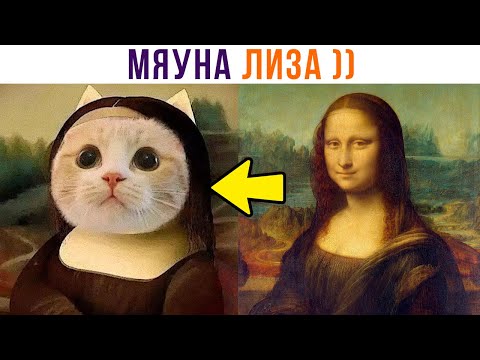 Видео: ШОК! ПОД ВЕРХНЕМ СЛОЕМ КАРТИНЫ БЫЛО ЭТО!!! ))) Приколы с котами | Мемозг 1122