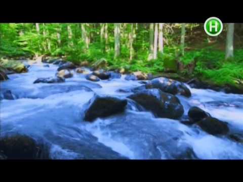 Видео: Новый канал - Анонсы и реклама (25.07.2014) #месяц_телефапа