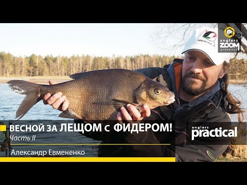 Видео: Весной за ЛЕЩОМ с ФИДЕРОМ! Ловля на водохранилище. Часть 2. Александр Евмененко. Anglers Practical