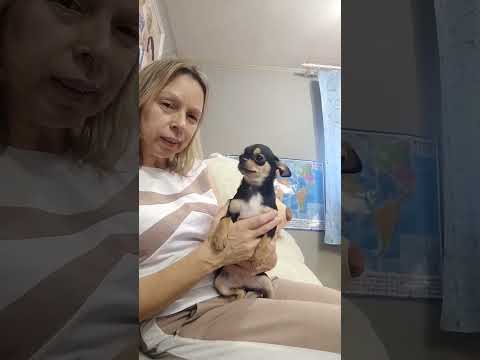 Видео: Ну очень недорого!!!! Девочка -принцесса. предлагается.