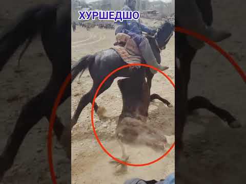 Видео: ХУРШЕДШО човандоз дар н РАШТ . (ВИДЕО РОЛИКИ)