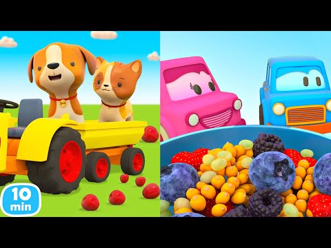 Видео: Машинки собирают фрукты и ягоды 🍏🍓 Мультики Умные Машинки и Машины помощники