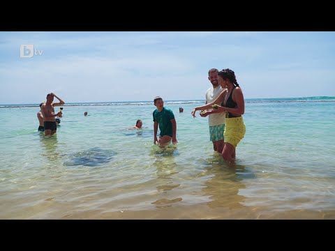 Видео: Виктор и Косара плуват с костенурки | "Ергенът" 2025