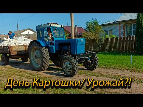 Видео: Т-40/ Копка картошки 2024