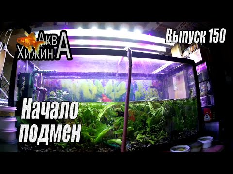 Видео: Начинаем подмены в аквариумах (Аква Хижина, выпуск 150)