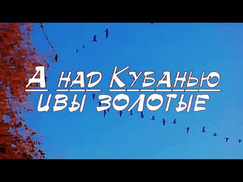 Видео: А над Кубанью ивы золотые