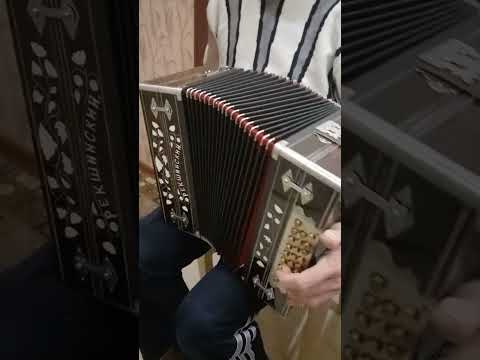 Видео: Гармонь Рекшинского