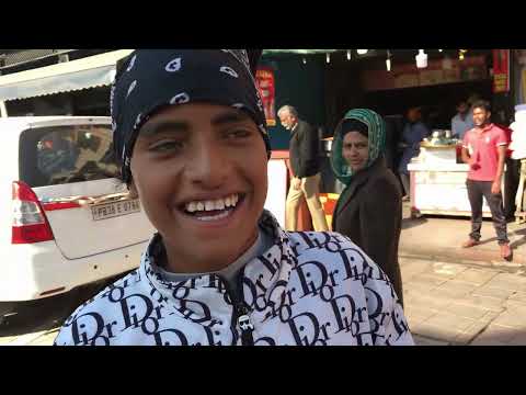 Видео: Перелётные птицы. Выпуск 31. Индия. Амритсар