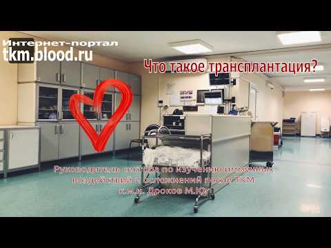 Видео: Что такое трансплантация и зачем она мне нужна?
