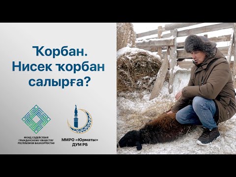 Видео: Ҡорбан. Нисек ҡорбан салырға? Рөстәм хәҙрәт Ситдиков.